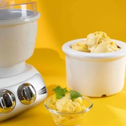 Ankarsrum Ice Cream Making Bundle Best