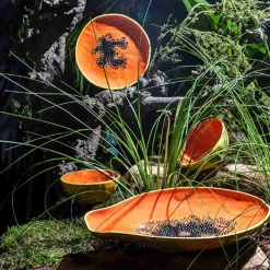 Bordallo Pinheiro Tropical Fruits Papaya Serving Platter, 35x23cm Best