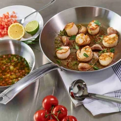 De Buyer Alchimy Frying Pan Best