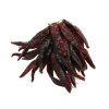 Delicioso Guindilla Pepper Ristra - String of 50 Hot
