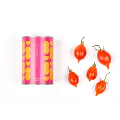 Italianavera Spunzillo Tomatoes, 400g Hot