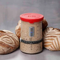 KneadAce Signature Sourdough Starter Jar Kit, 32oz Sale