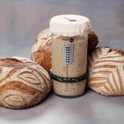 KneadAce Sourdough Starter Jar Kit, 24oz Sale