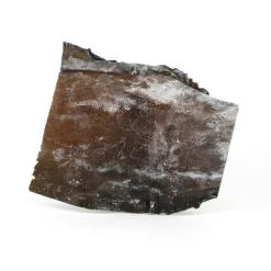 Welpac Kombu For Dashi, 113g Discount