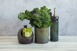 Ceramica Nicola Lagoa Kitchen Utensils Jar Discount