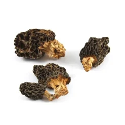Champiland Morel Mushrooms, 500g Best
