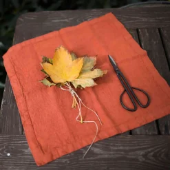 Linen Tales Set of 2 Rust Linen Napkins