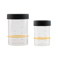 Sourhouse Starter Jar, Quart Outlet