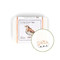 Chocolate Detective The 12 Song Thrush Chocolate Eggs, 150g Hot