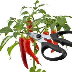 Triangle Take Apart Kitchen & Herb Scissors Discount