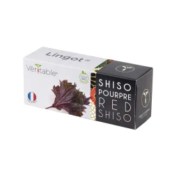 Veritable Asian Lingot Insert, Organic Red Shiso Online