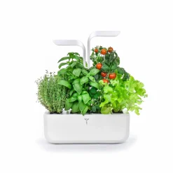 Veritable Classic Indoor Herb Garden Outlet